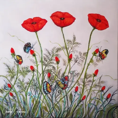 Coquelicots 50x50