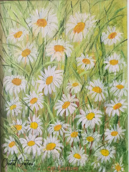 les marguerites 30x40