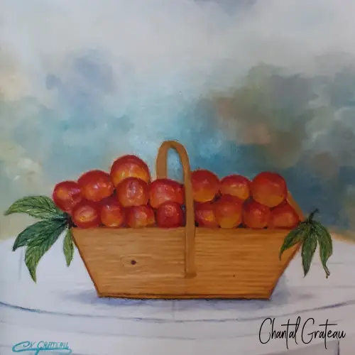 Panier de fruit 50x50