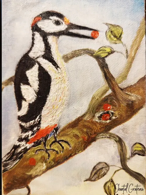 Pic épeiche 17x12 peinture huile, encadré,sans relief.