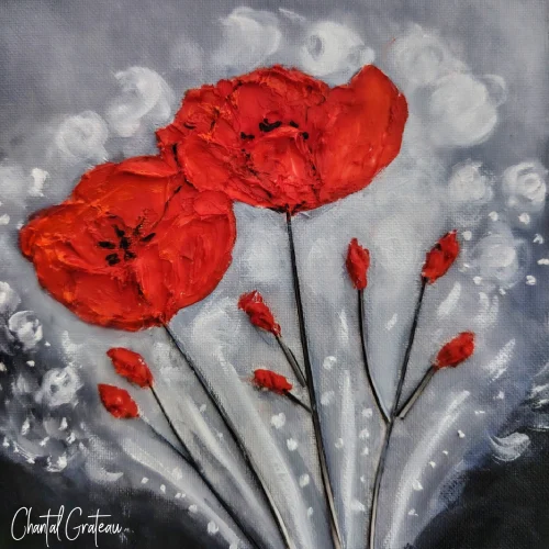 Gentils Coquelicots 20x20