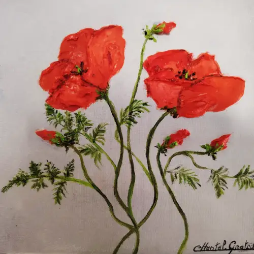 Coquelicots 20x20