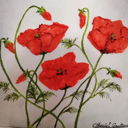 Coquelicots